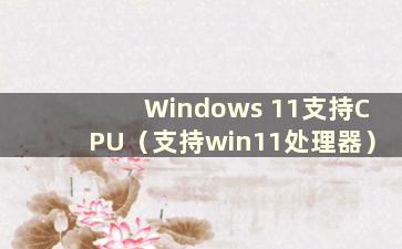 Windows 11支持CPU（支持win11处理器）